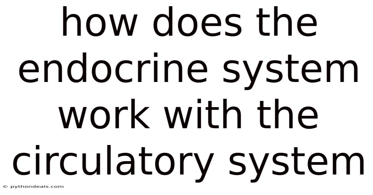 How Does The Endocrine System Work With The Circulatory System
