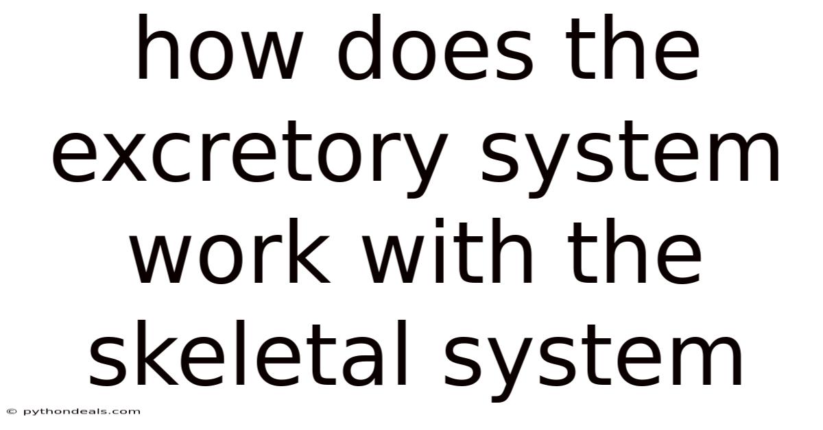 How Does The Excretory System Work With The Skeletal System
