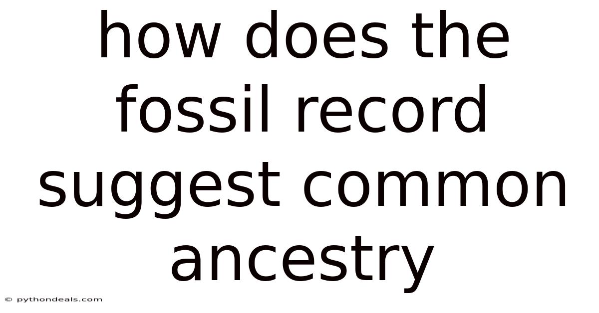How Does The Fossil Record Suggest Common Ancestry