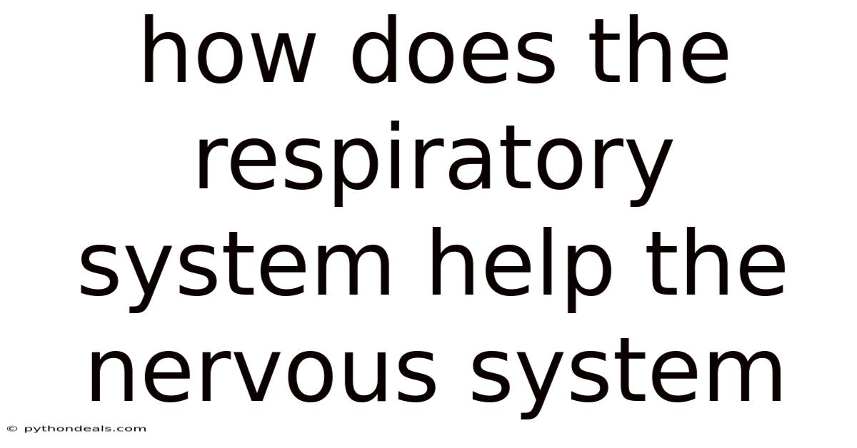How Does The Respiratory System Help The Nervous System