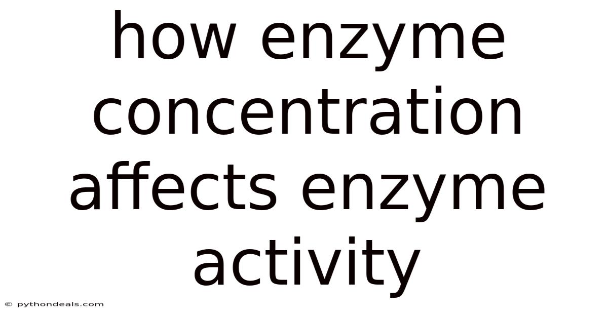 How Enzyme Concentration Affects Enzyme Activity