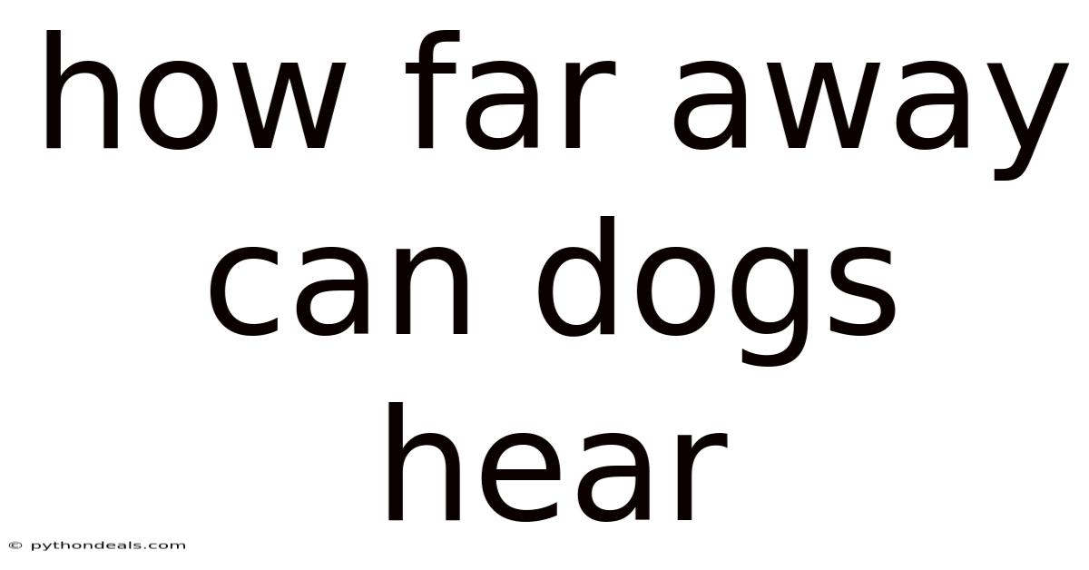 How Far Away Can Dogs Hear