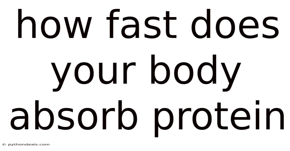 How Fast Does Your Body Absorb Protein