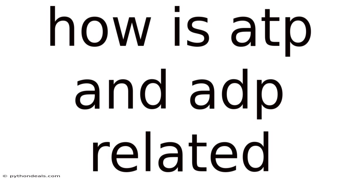 How Is Atp And Adp Related