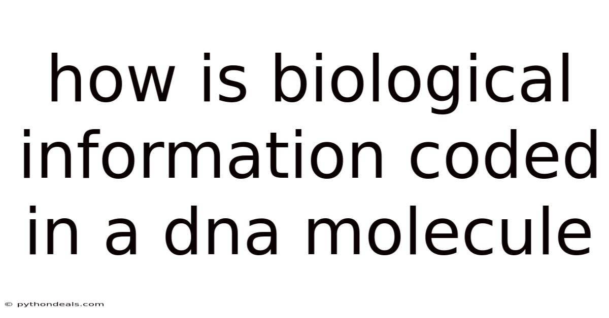 How Is Biological Information Coded In A Dna Molecule