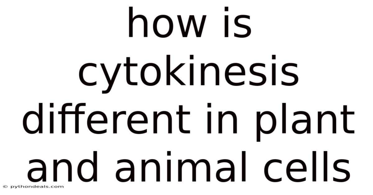 How Is Cytokinesis Different In Plant And Animal Cells