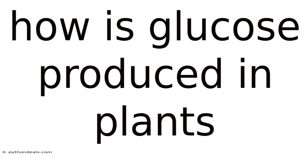 How Is Glucose Produced In Plants