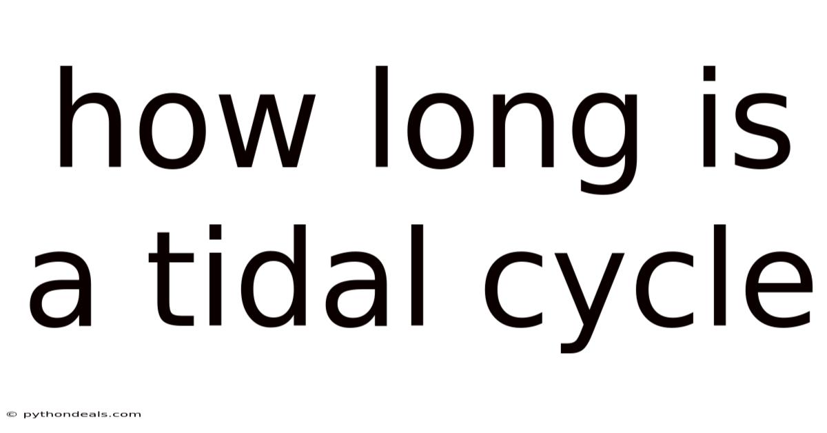 How Long Is A Tidal Cycle