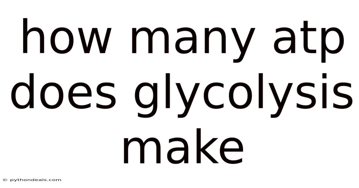 How Many Atp Does Glycolysis Make