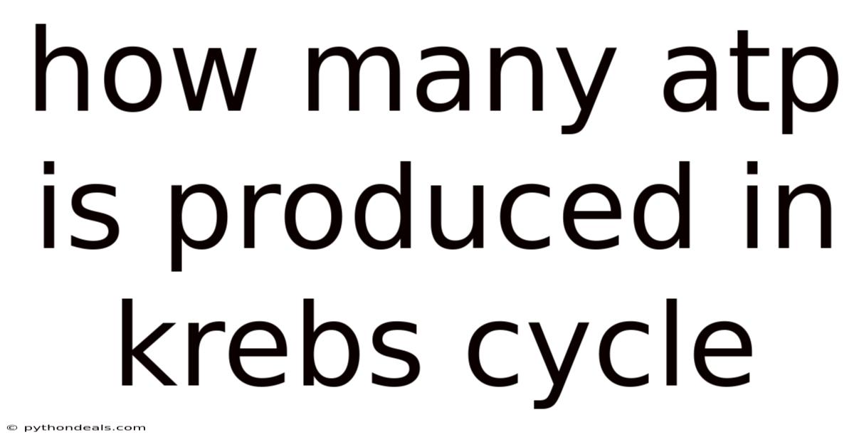How Many Atp Is Produced In Krebs Cycle
