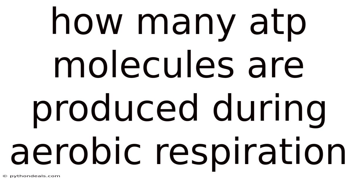 How Many Atp Molecules Are Produced During Aerobic Respiration