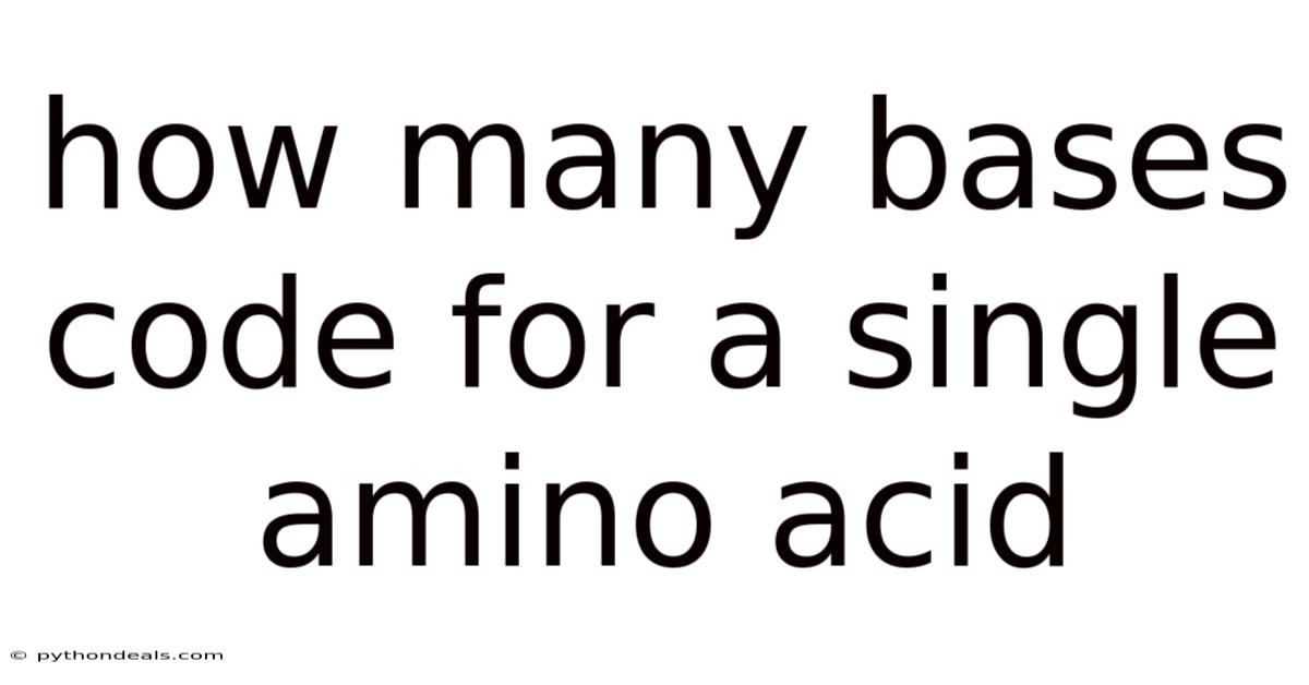 How Many Bases Code For A Single Amino Acid