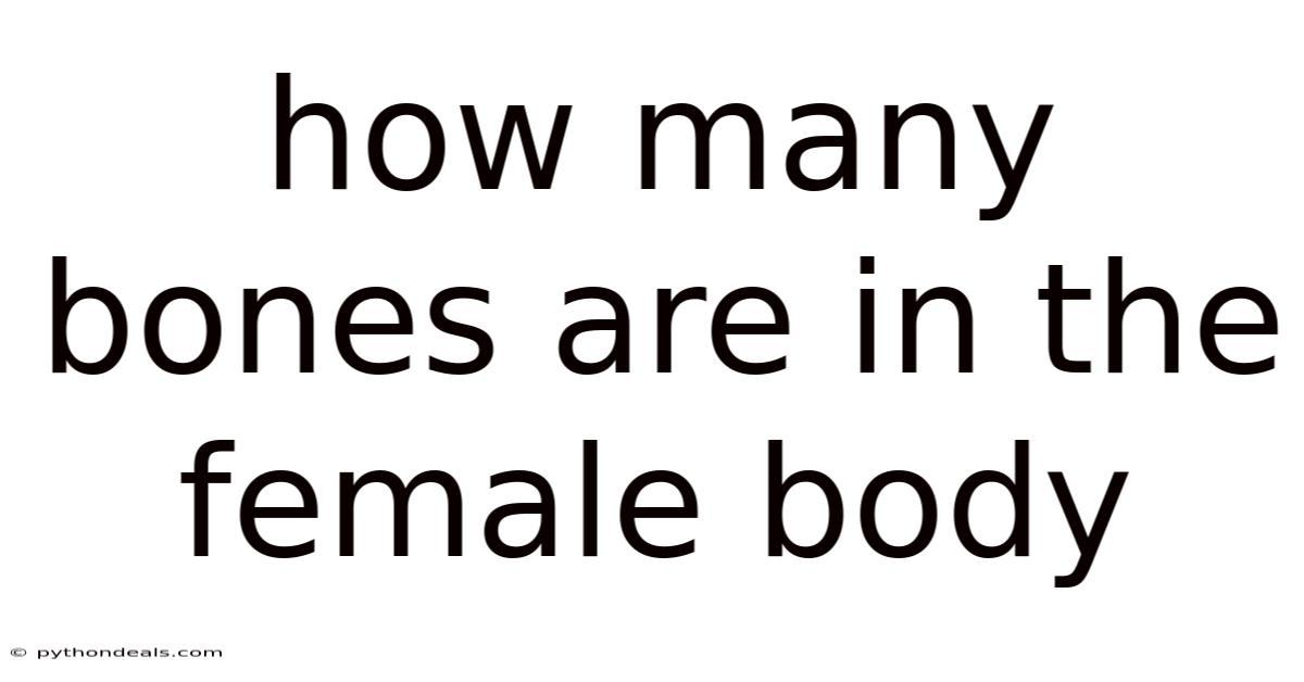 How Many Bones Are In The Female Body
