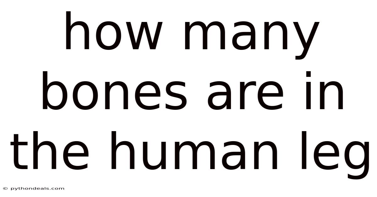 How Many Bones Are In The Human Leg