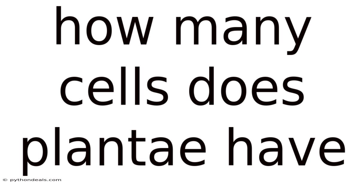How Many Cells Does Plantae Have