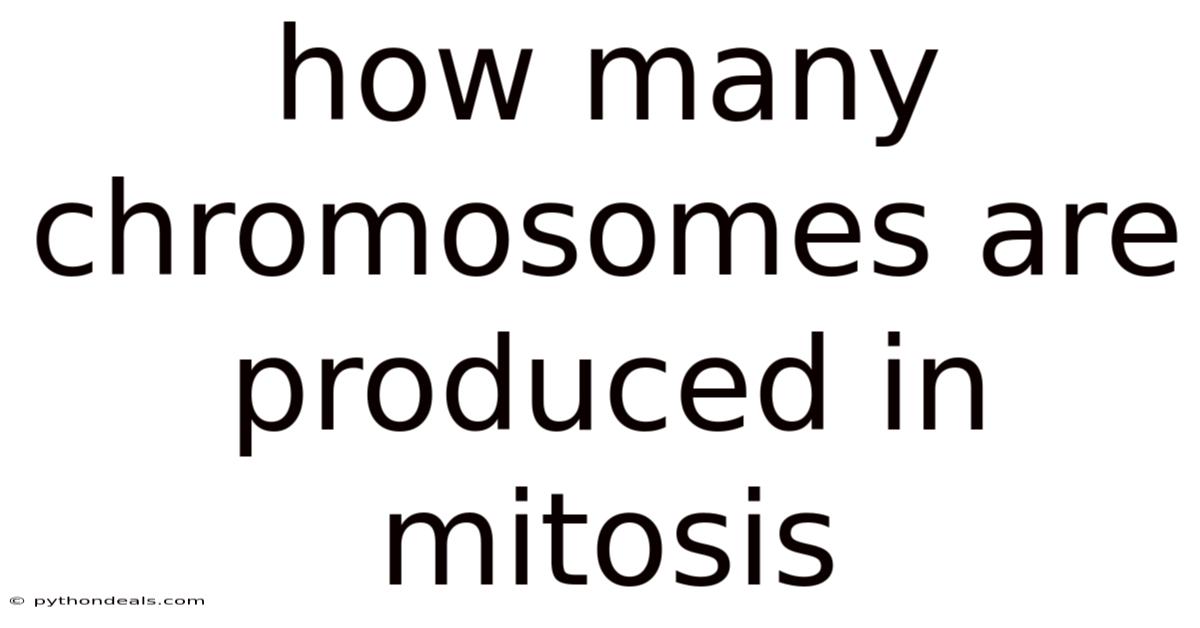 How Many Chromosomes Are Produced In Mitosis