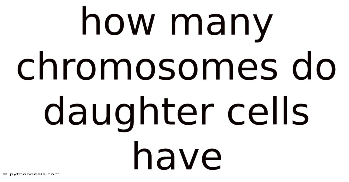 How Many Chromosomes Do Daughter Cells Have