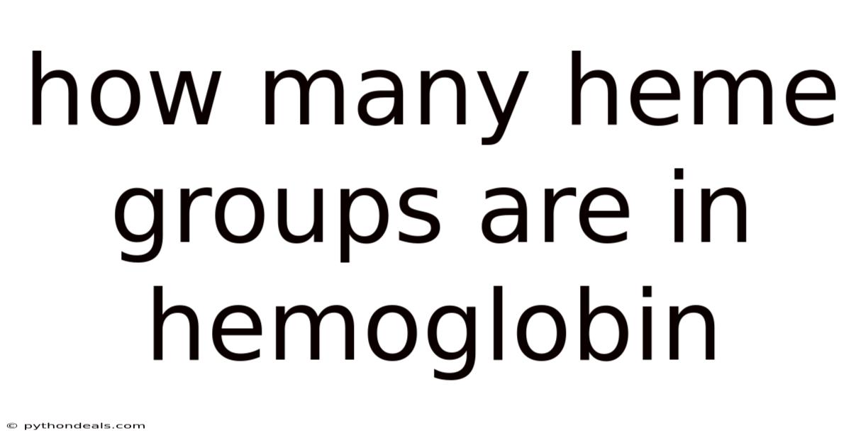 How Many Heme Groups Are In Hemoglobin