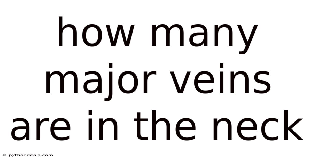 How Many Major Veins Are In The Neck