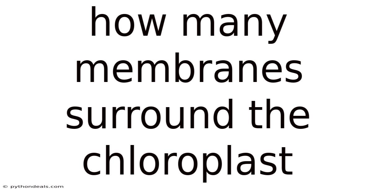 How Many Membranes Surround The Chloroplast