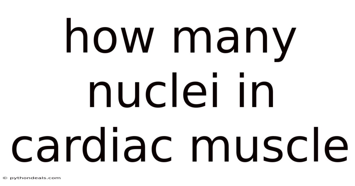 How Many Nuclei In Cardiac Muscle