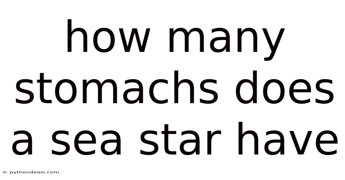 How Many Stomachs Does A Sea Star Have