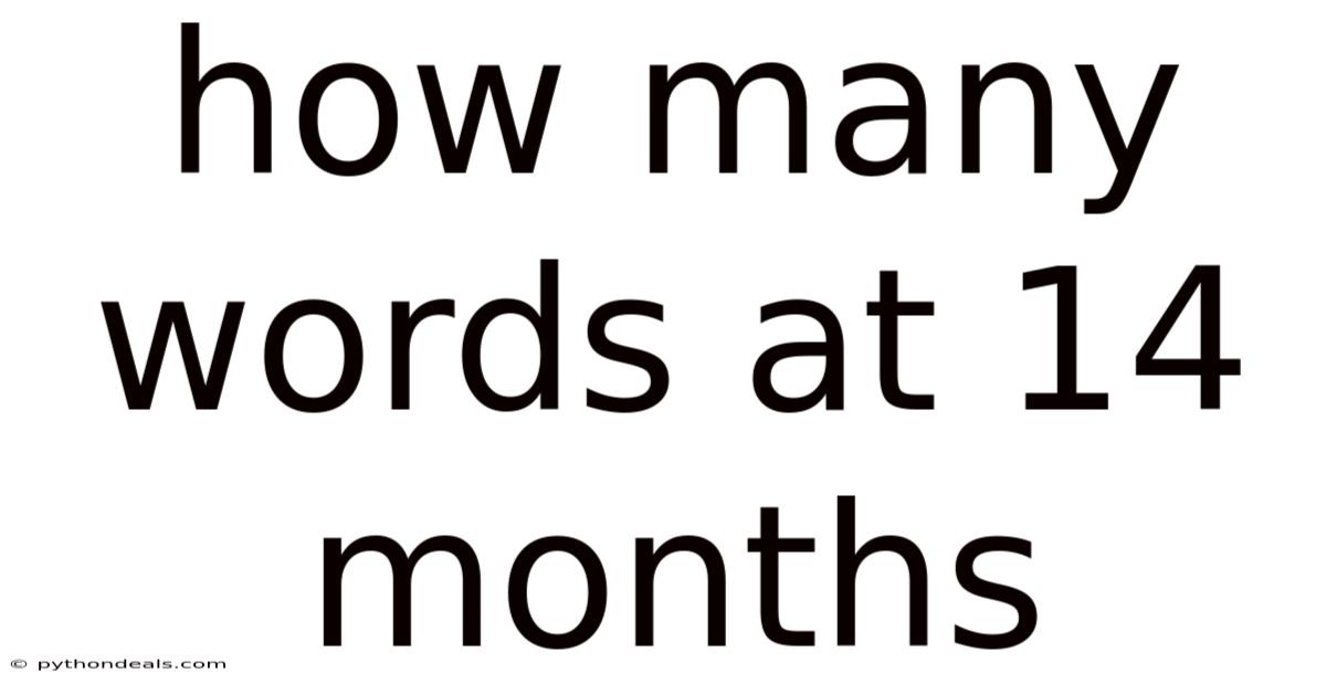 How Many Words At 14 Months