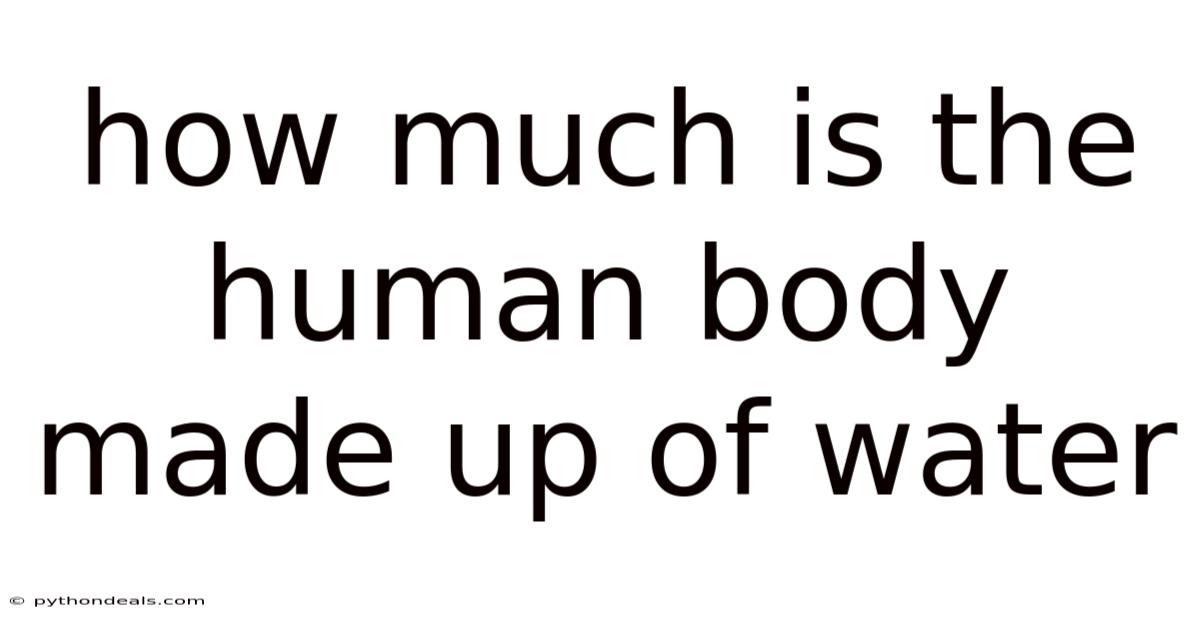 How Much Is The Human Body Made Up Of Water