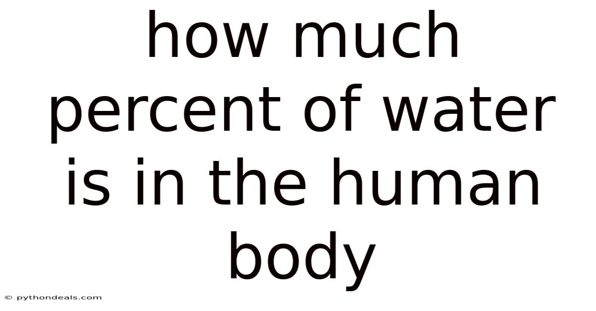How Much Percent Of Water Is In The Human Body