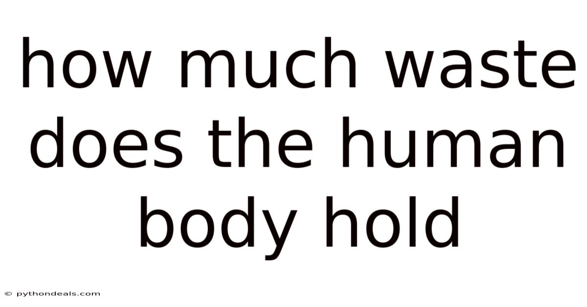How Much Waste Does The Human Body Hold