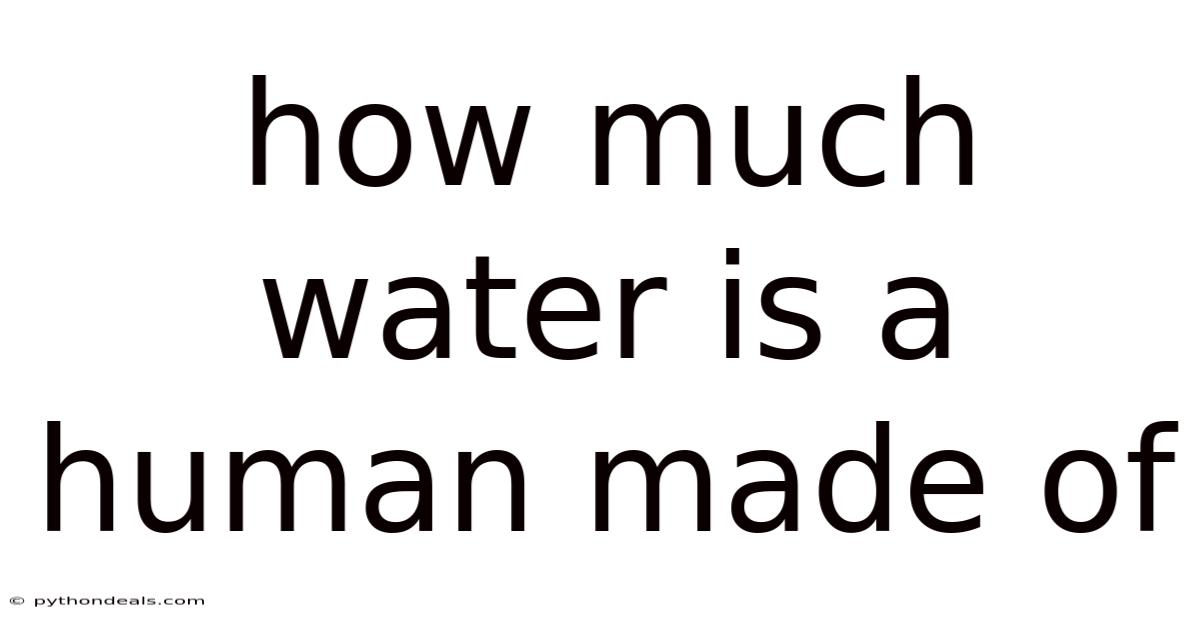 How Much Water Is A Human Made Of