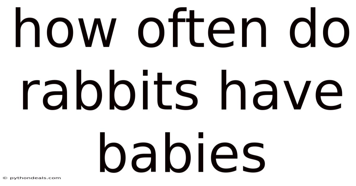 How Often Do Rabbits Have Babies