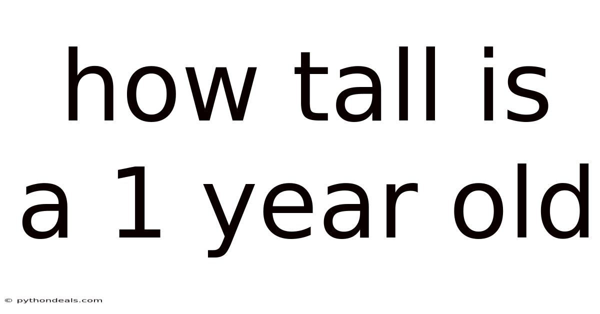 How Tall Is A 1 Year Old