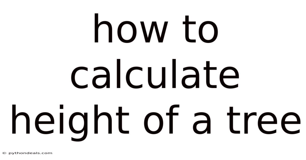 How To Calculate Height Of A Tree
