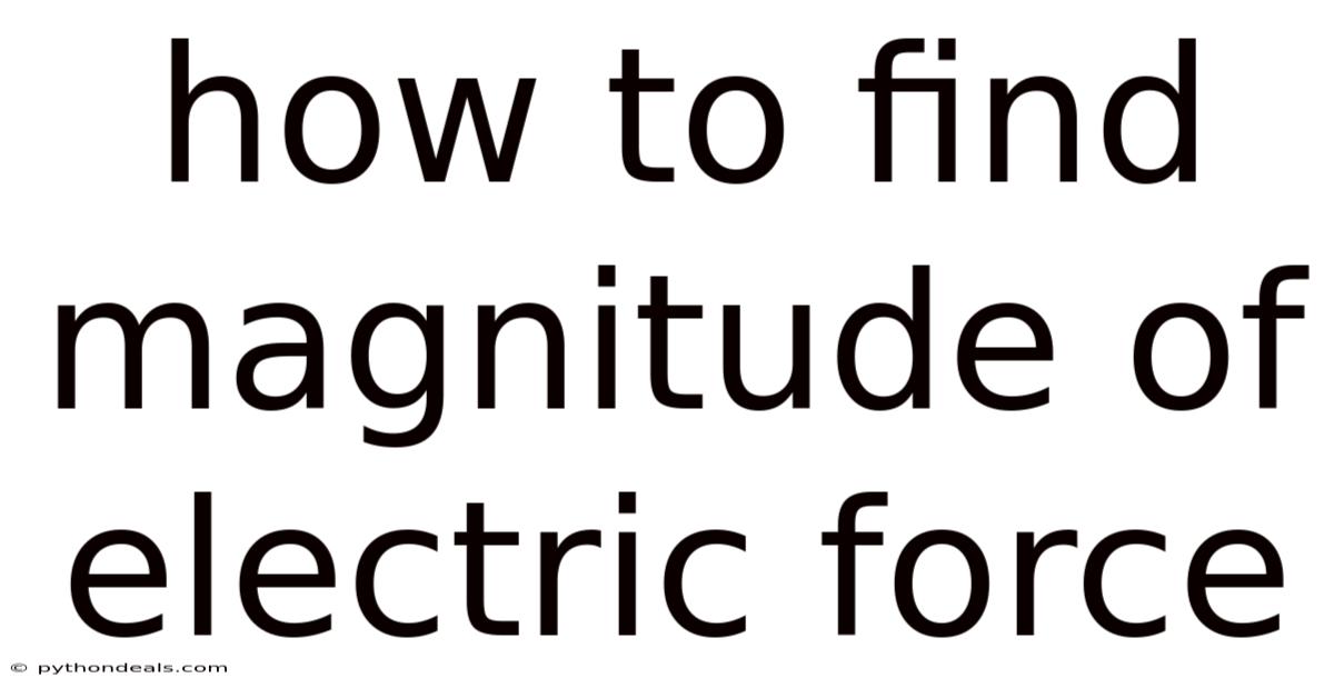 How To Find Magnitude Of Electric Force