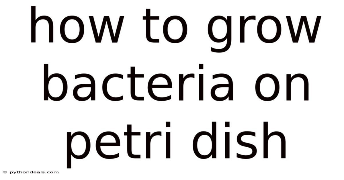 How To Grow Bacteria On Petri Dish