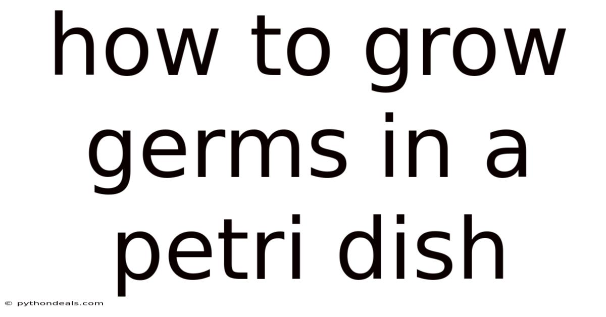 How To Grow Germs In A Petri Dish