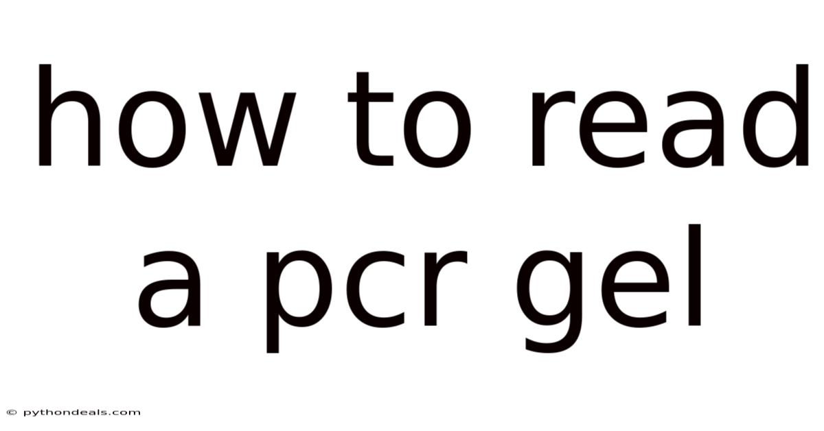 How To Read A Pcr Gel