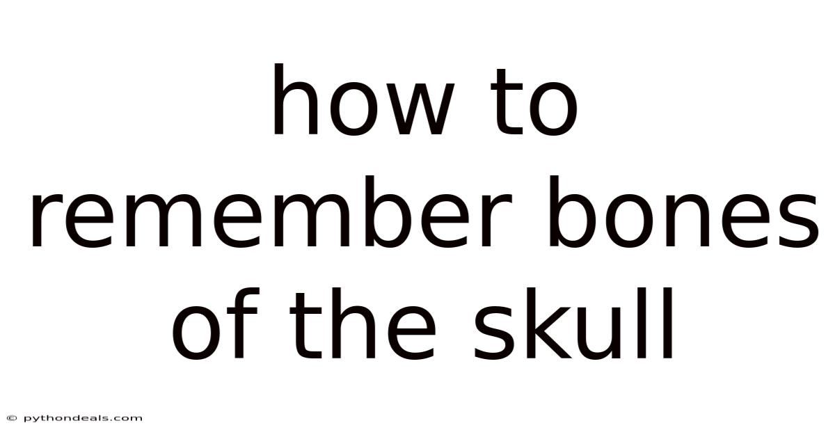 How To Remember Bones Of The Skull