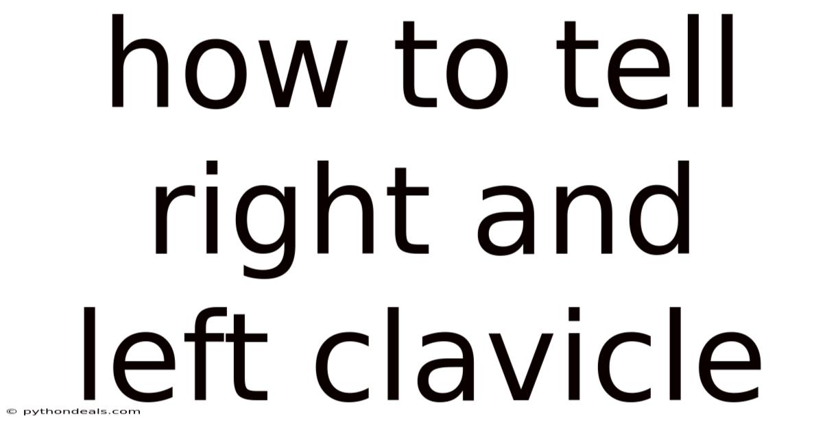 How To Tell Right And Left Clavicle