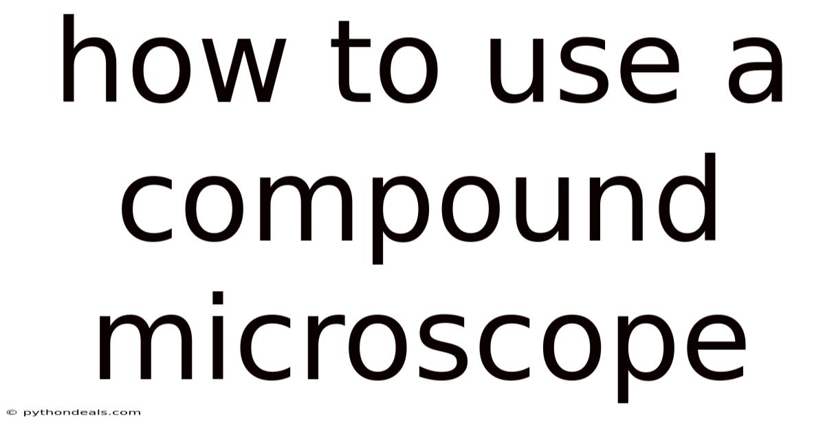 How To Use A Compound Microscope