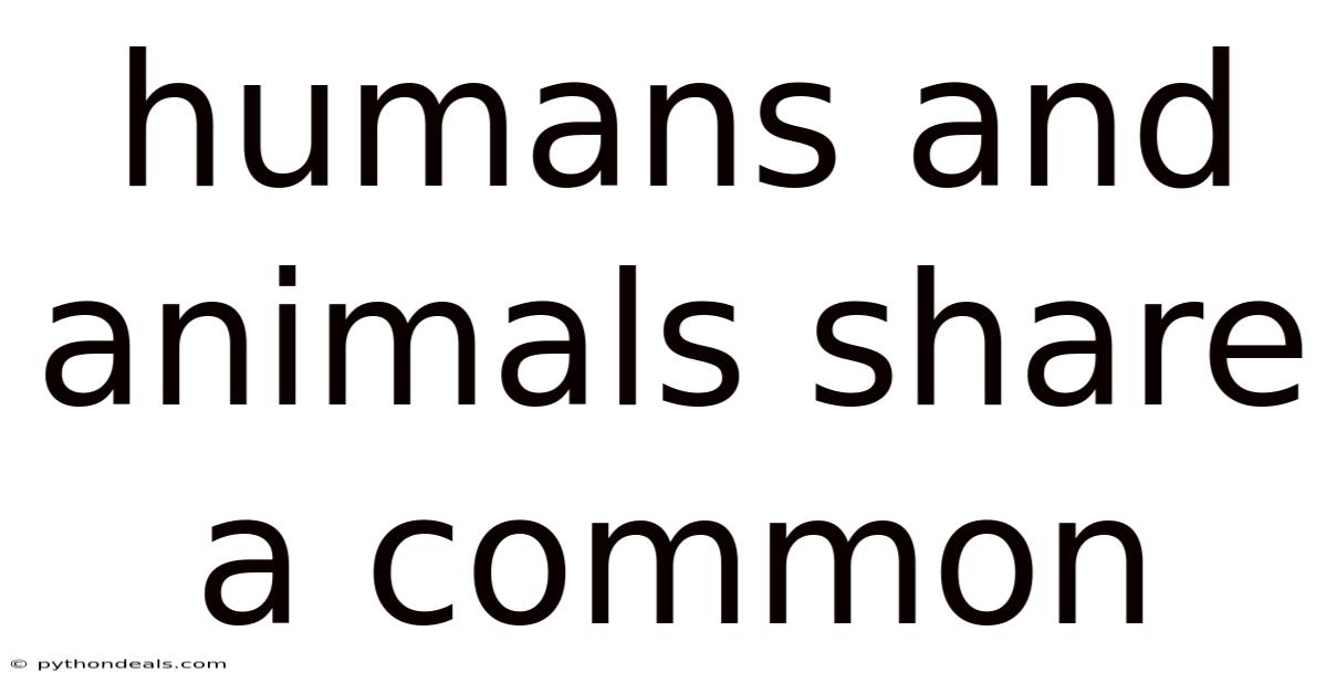 Humans And Animals Share A Common