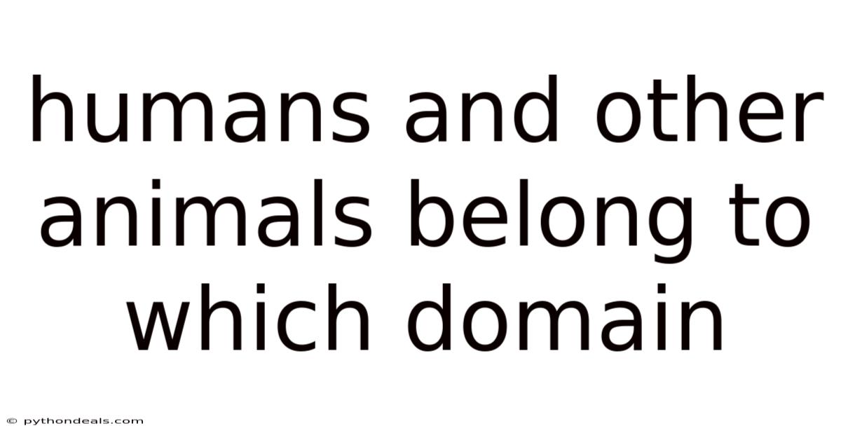 Humans And Other Animals Belong To Which Domain