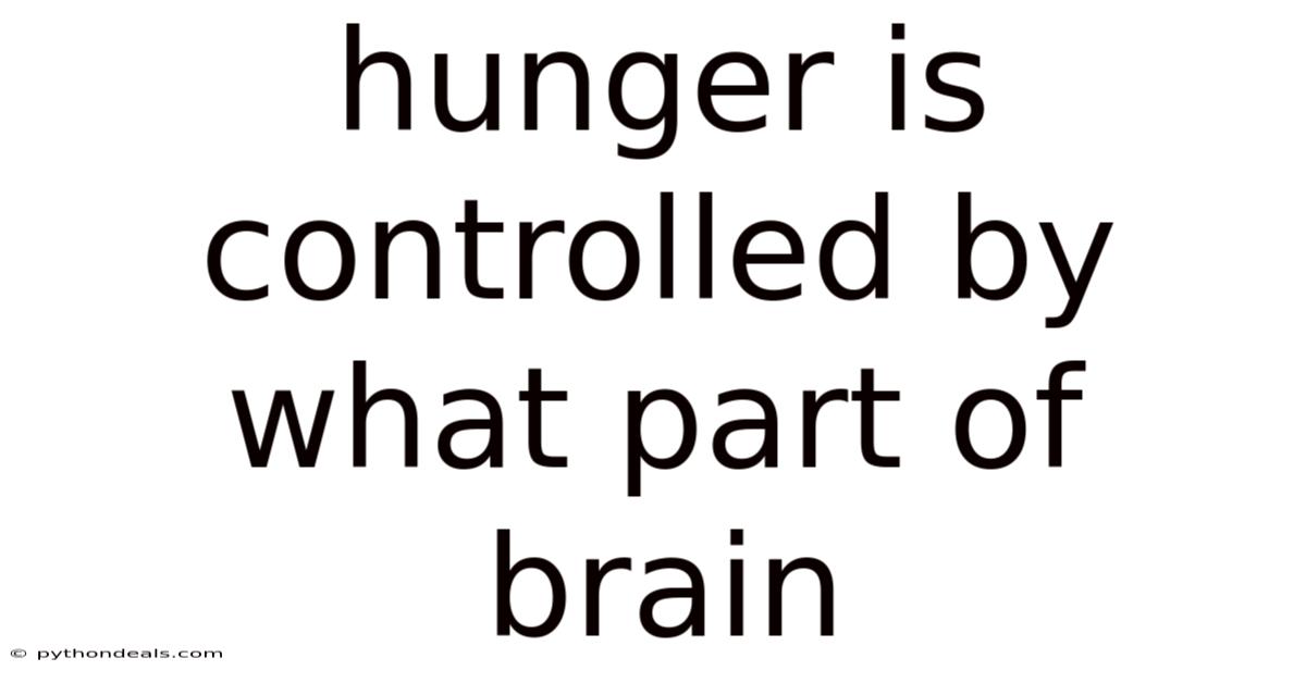 Hunger Is Controlled By What Part Of Brain