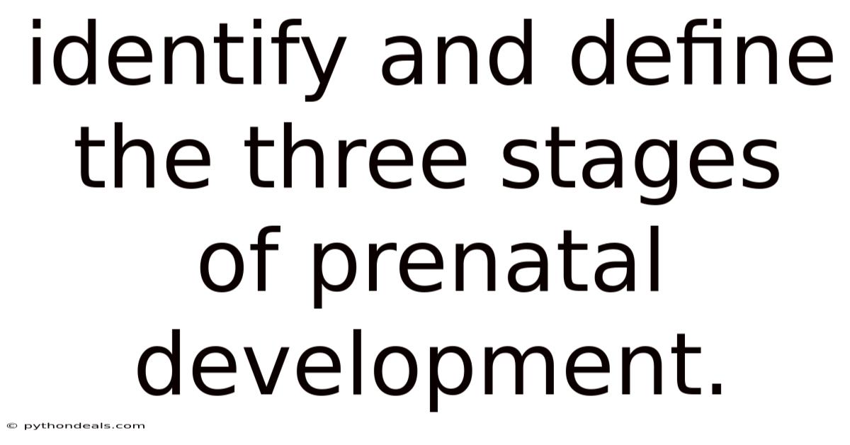Identify And Define The Three Stages Of Prenatal Development.