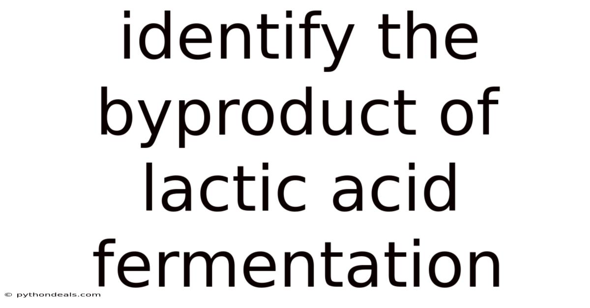 Identify The Byproduct Of Lactic Acid Fermentation