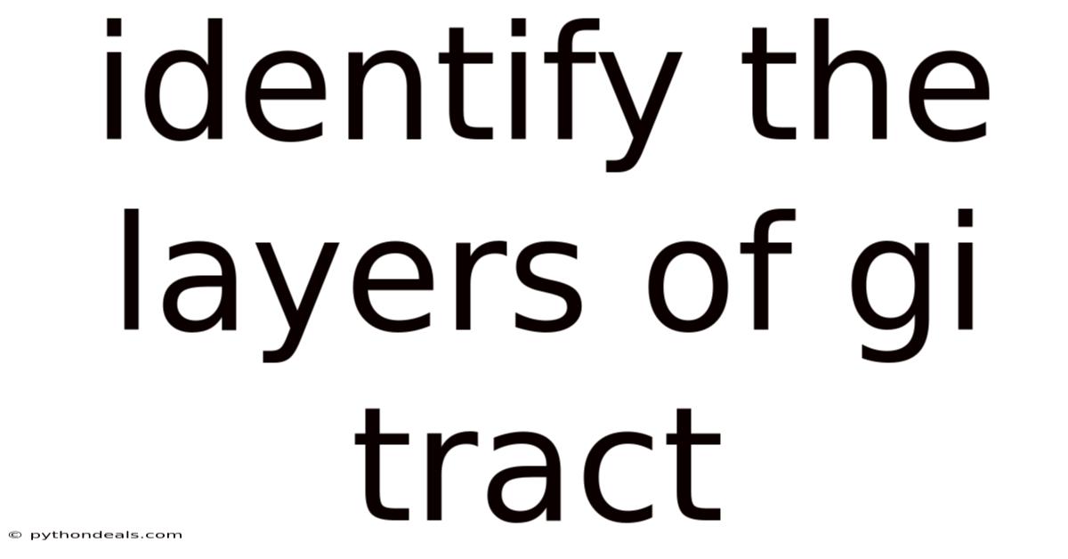 Identify The Layers Of Gi Tract