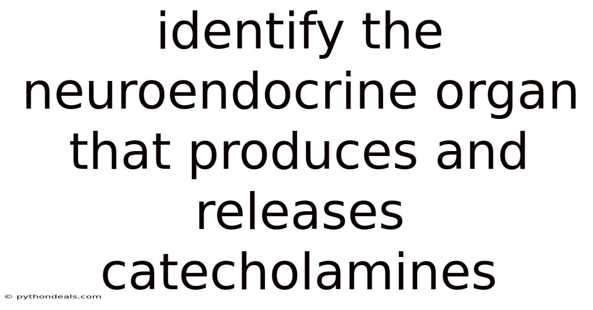 Identify The Neuroendocrine Organ That Produces And Releases Catecholamines