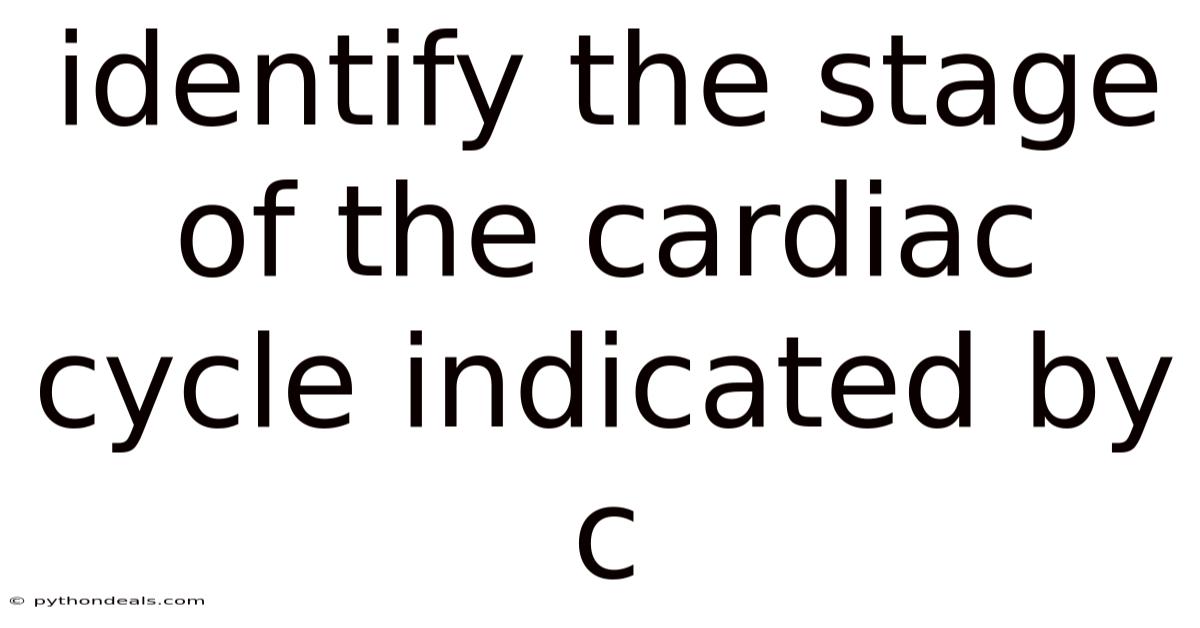 Identify The Stage Of The Cardiac Cycle Indicated By C
