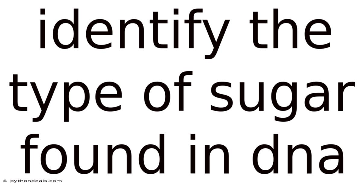 Identify The Type Of Sugar Found In Dna